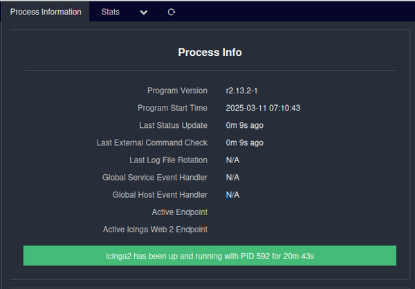 Icinga2 process info